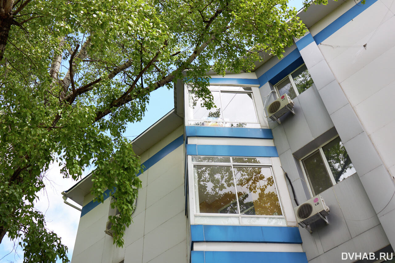 Как правильно установить перегородку для совместных балконов и лоджий