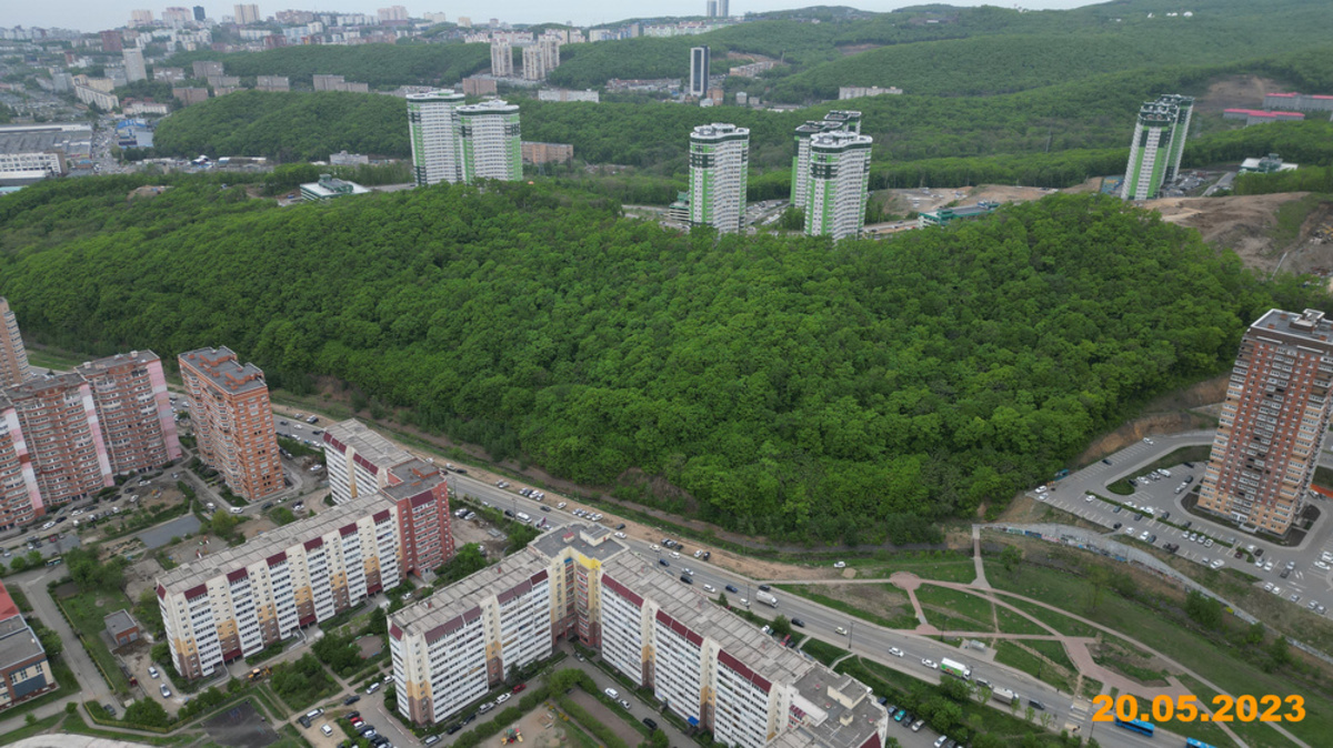 ПИК построит квартал с бульваром на месте леса, который хотели сохранить  жители Снеговой Пади – Новости Владивостока на VL.ru