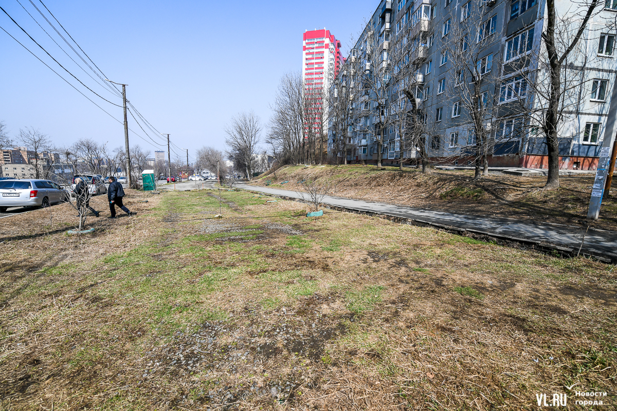 В голосовании за благоустройство во Владивостоке предварительно побеждают  Ватутина, Жигура и Кирова – Новости Владивостока на VL.ru