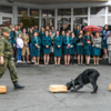 Ризеншнауцер опять верно указывает место закладки своей хозяйке Эльвире Лебедевой — newsvl.ru