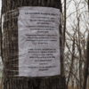 Местные жители вывесили несколько объявлений про уборку за собой и собаками — newsvl.ru