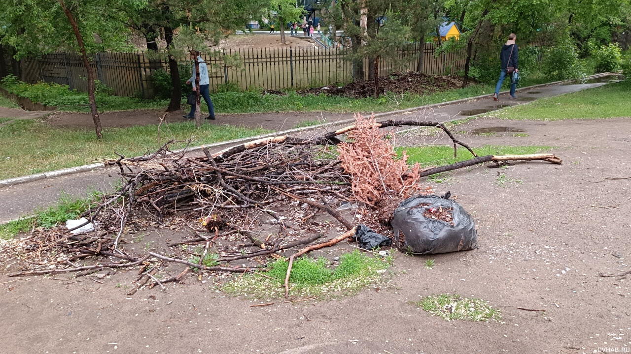 «Жена умирала на глазах». Что переживают жители Курской области под огнем | Аргументы и Факты