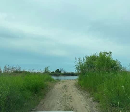Озеро Кривое на Большом Уссурийском