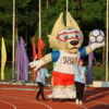 Волк Забивака - символ чемпионата мира по футболу в 2018 году — newsvl.ru