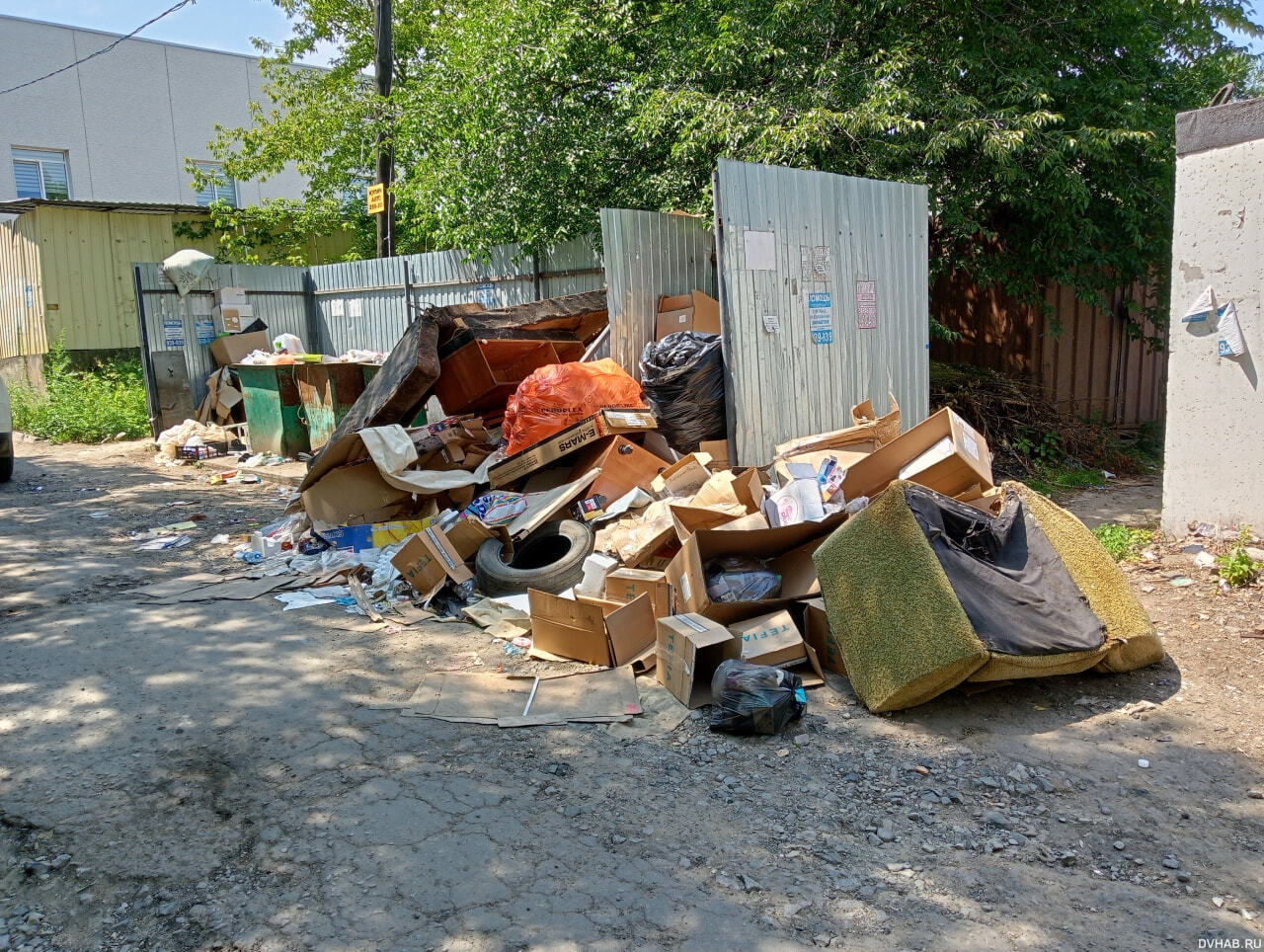 Нет дна: мусором зарастает улица Айвазовского (ФОТО) — Новости Хабаровска