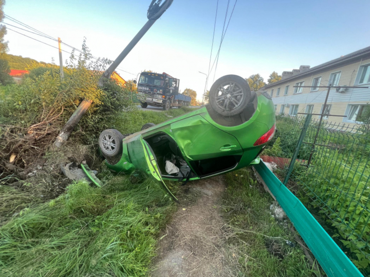 В Екатериновке пенсионер сбил ребёнка, погнул столб и перевернул машину,  уходя от наезда на собаку – Новости Владивостока на VL.ru