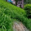Сильный поток воды не прекращался в течение долгого времени — newsvl.ru