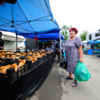 Покупатель рассказывает, что все грибы отварит и заморозит на зиму   — newsvl.ru