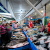 Охотнее всего сейчас раскупают красную рыбу  — newsvl.ru