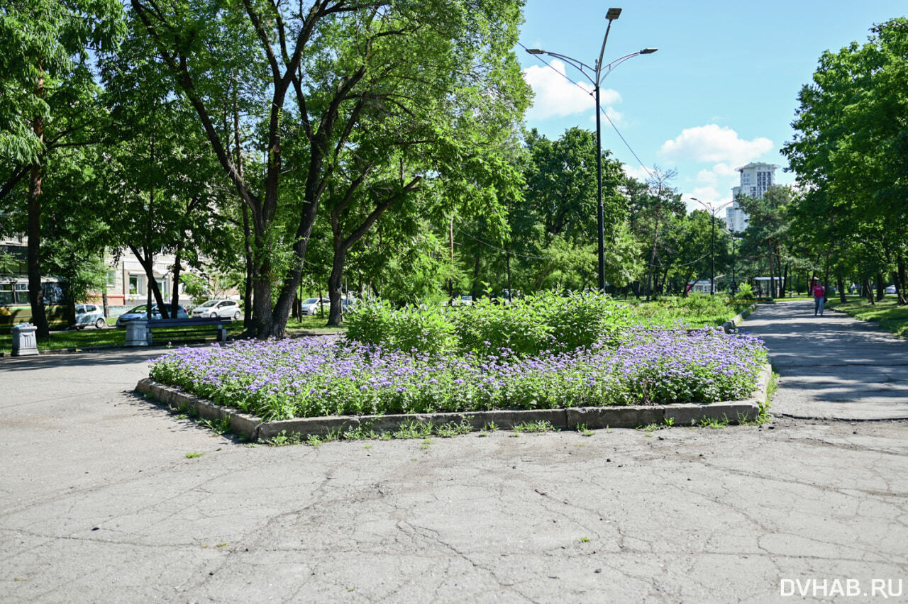 Уссурийский бульвар хабаровск фото