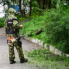 Убирает городская служба, что логично, только муниципальную землю. А придомовая – зона ответственности УК, ТСЖ или собственника — newsvl.ru