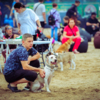 Пикник для собак организовали «Друг Рич» при поддержке Еdwin Group — newsvl.ru