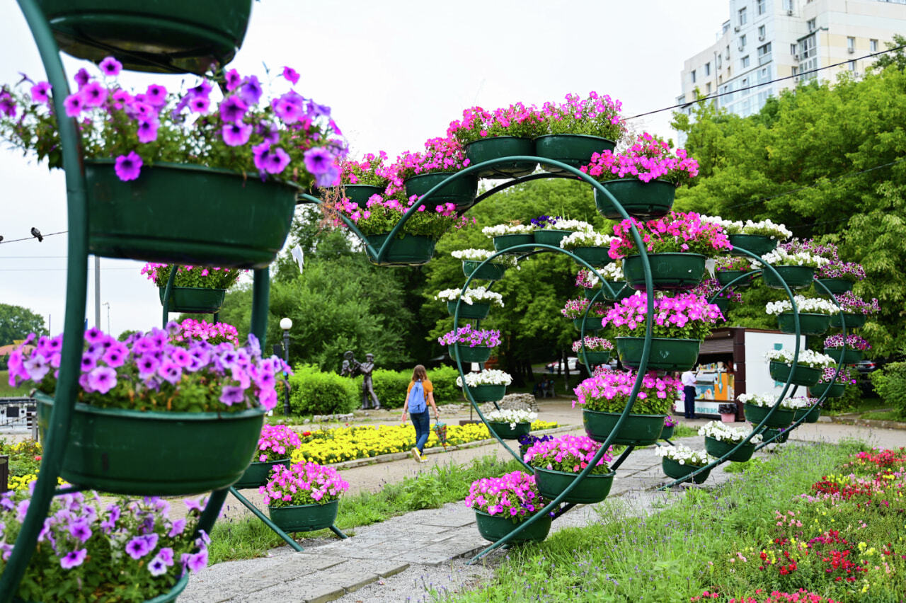 Клумбы для цветов