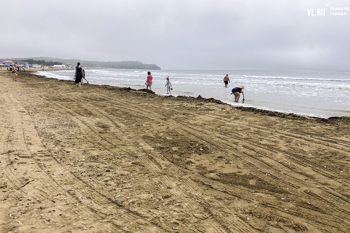 В бухте Лазурной начали уборку береговой полосы от водорослей и мусора  (ФОТО) – Новости Владивостока на VL.ru