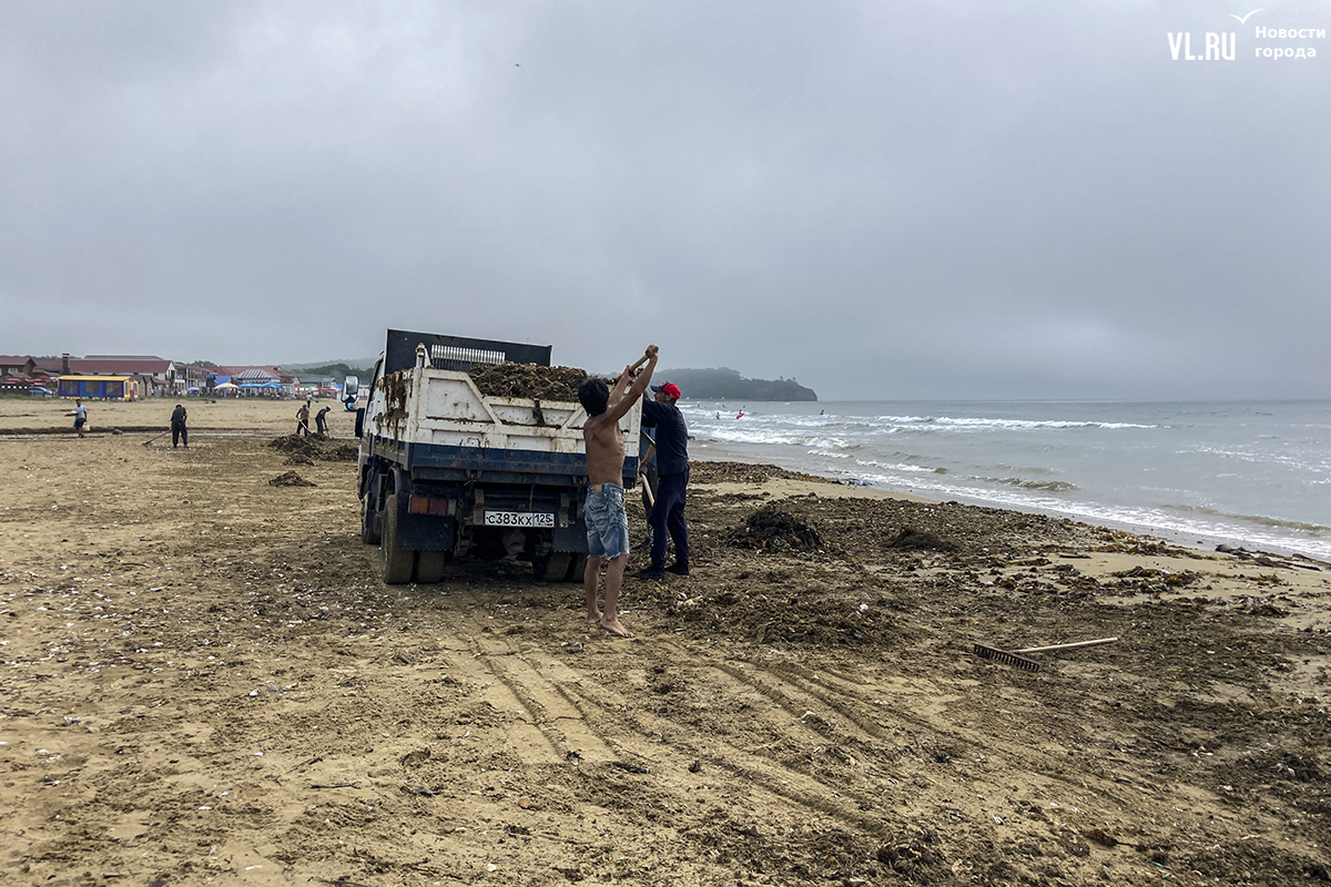 В бухте Лазурной начали уборку береговой полосы от водорослей и мусора  (ФОТО) – Новости Владивостока на VL.ru