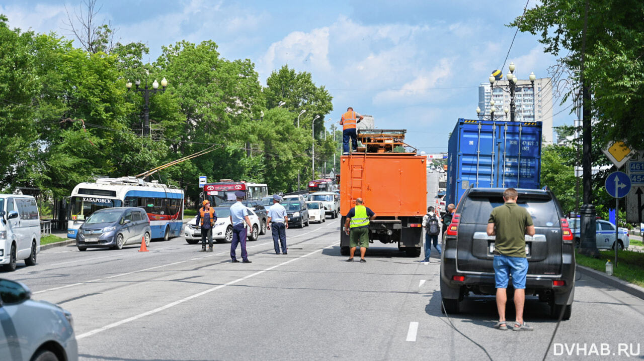 Натали маркс транс порно