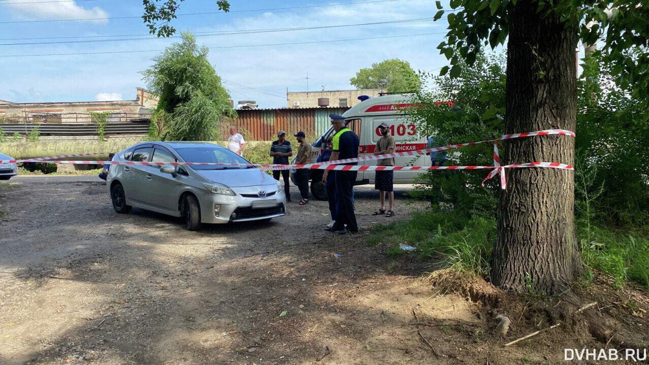 Годовалую девочку насмерть сбил Prius в Хабаровске (ФОТО) — Новости  Хабаровска