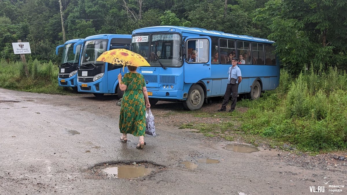 В первый день после ограничений на аварийном мосту в Экипажном жители  отдалённых посёлков добирались до автобуса 10 километров пешком (ФОТО) –  Новости Владивостока на VL.ru