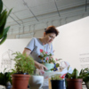 Жители Владивостока обменялись растениями в Музее им. Арсеньева — newsvl.ru