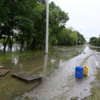 В воде повсюду зелёные частицы с какого-то растения — newsvl.ru