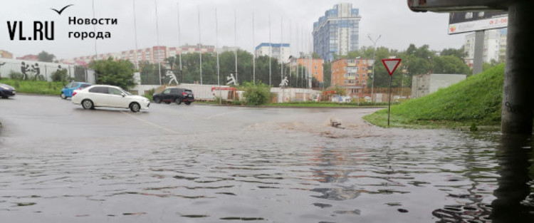 КАК БЫСТРО ОСУШИТЬ УЧАСТОК ПОСЛЕ ЛИВНЕЙ ПРИ ПОМОЩИ ДРЕНАЖА И ЛИВНЕВКИ