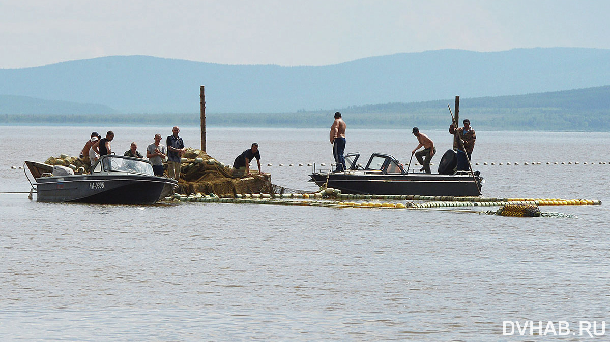 Контроль за добытой в ДФО рыбой усилят из-за сброса воды с «Фукусимы-1» —  Новости Хабаровска