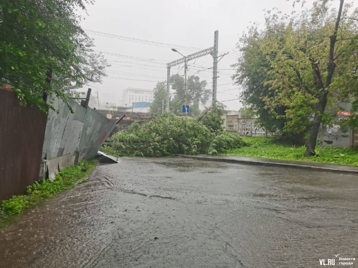 Владивосток больше не впитывает воду: упавшие на город дожди превращаются в  реки, озёра, фонтаны и водопады (ФОТО; ВИДЕО) – Новости Владивостока на  VL.ru