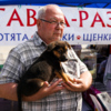 Организаторы следят за тем, чтобы животные попадали в хорошие руки — newsvl.ru