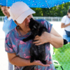 Волонтёры движения «Спасём жизнь» ищут дом для животных с улиц — newsvl.ru