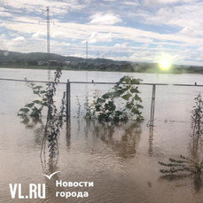 Бастрыкин отреагировал на обращение жителей признанного аварийным дома в Перми | «Новый компаньон»
