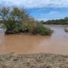 В районе реки Старица, трасса Раздольное - Хасан — newsvl.ru