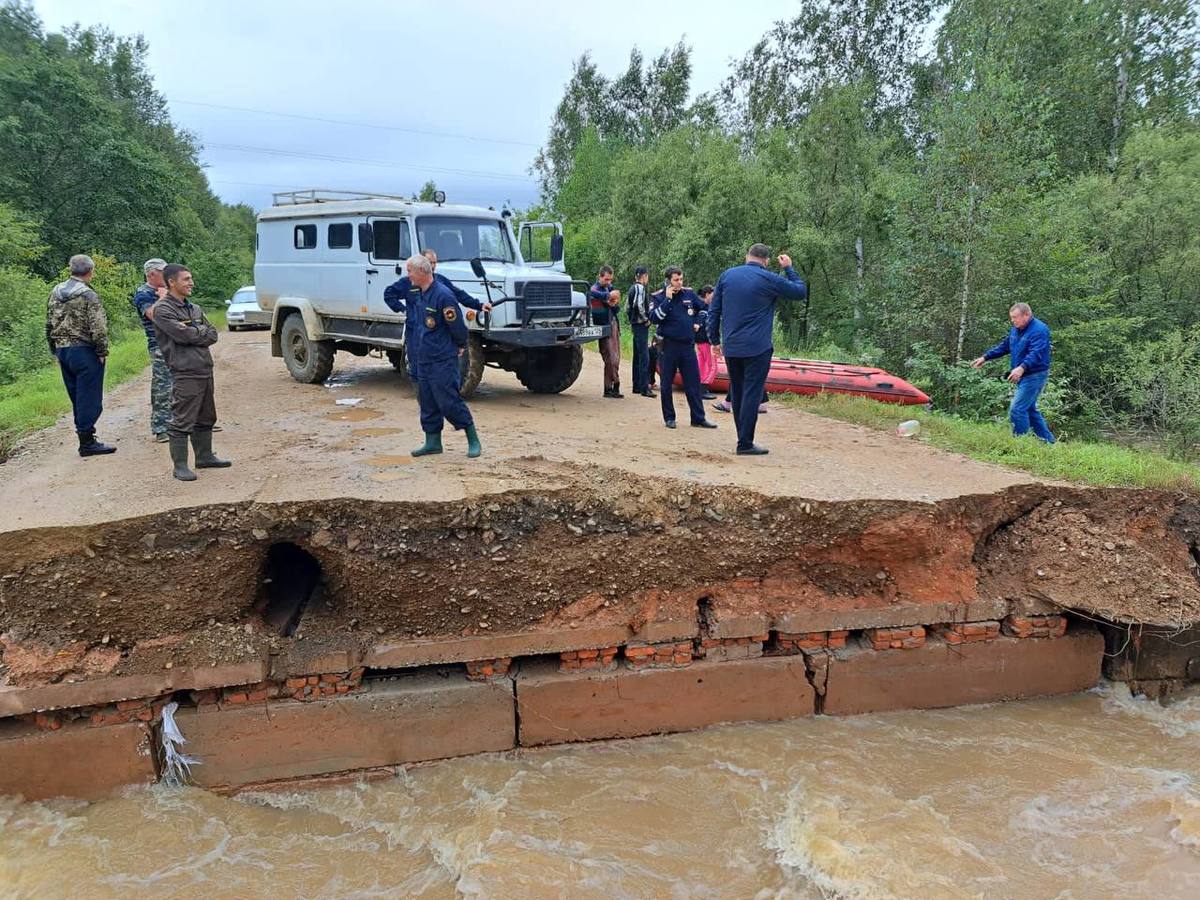 В Приморье спасли людей, чей автомобиль сорвался в промоину – женщина с  ребёнком успели забраться на дерево – Новости Владивостока на VL.ru