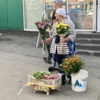 Прошедшие ливни уничтожили большую часть урожая — newsvl.ru