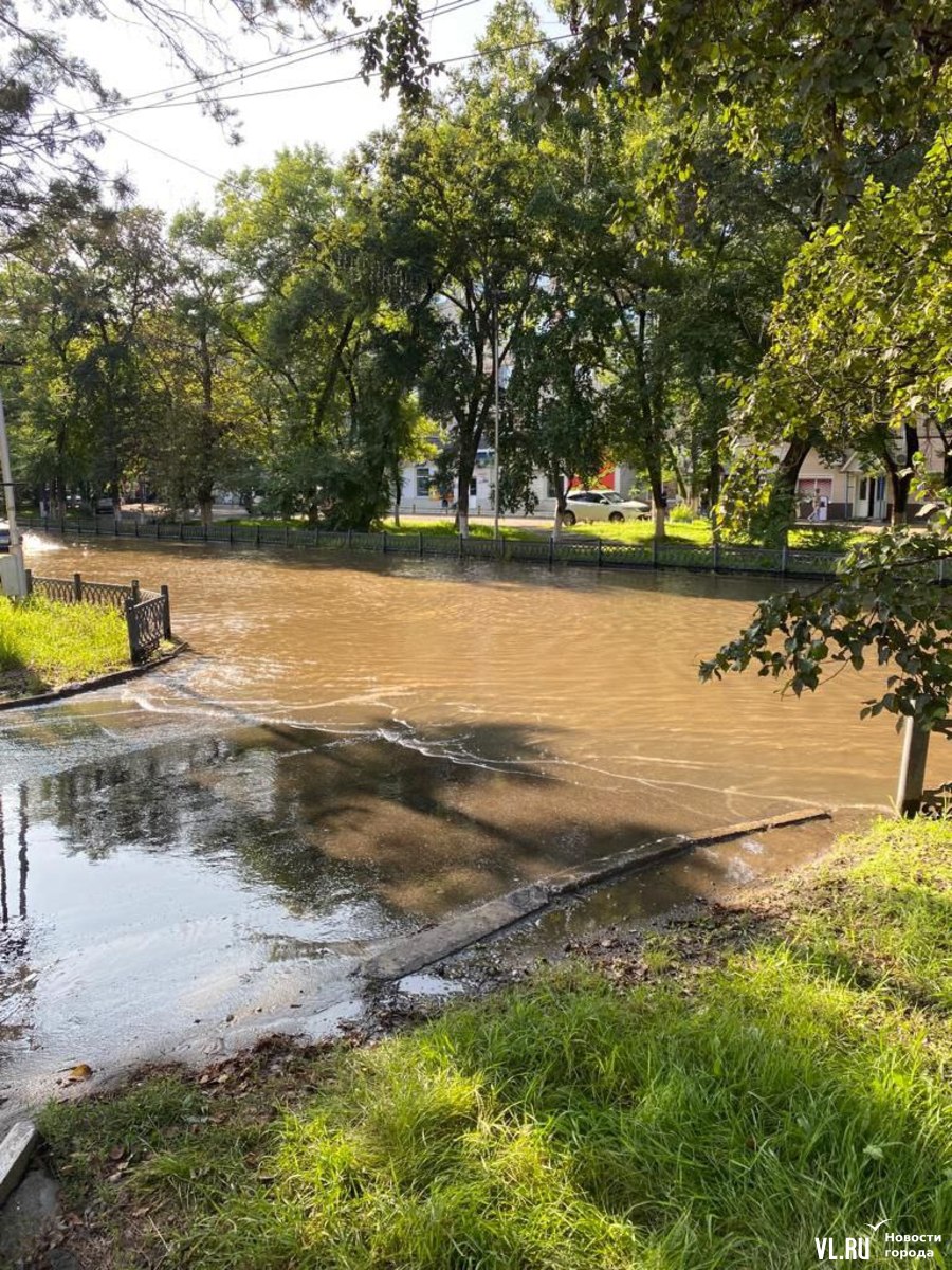 В Дальнереченске прибывает вода – затопило центр города, детсады, дороги,  парки (ФОТО; ВИДЕО) – Новости Владивостока на VL.ru