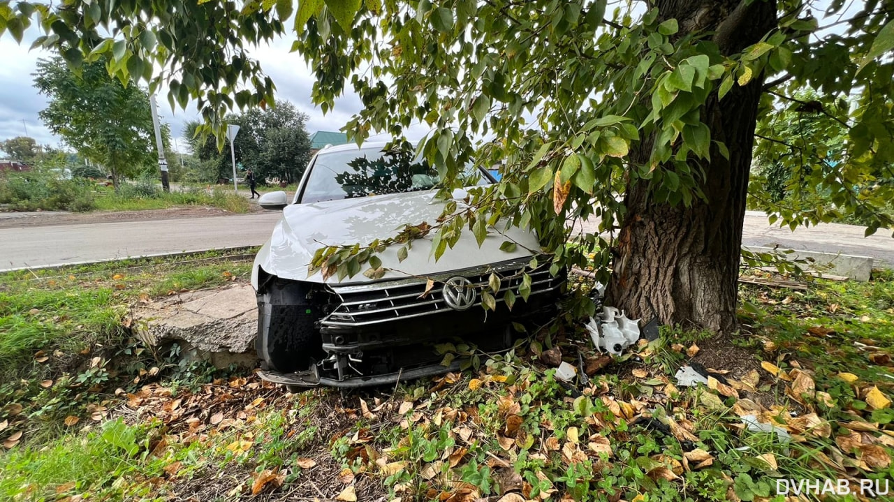 Там часто «летают»: уходящий от столкновения Passat врезался в дерево  (ФОТО) — Новости Хабаровска