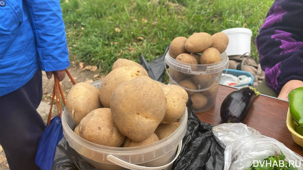 Желтая vs белая: сколько стоит картошка и какую лучше брать — Новости  Хабаровска