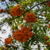 Сегодня во Владивостоке южный ветер и до 23 °C