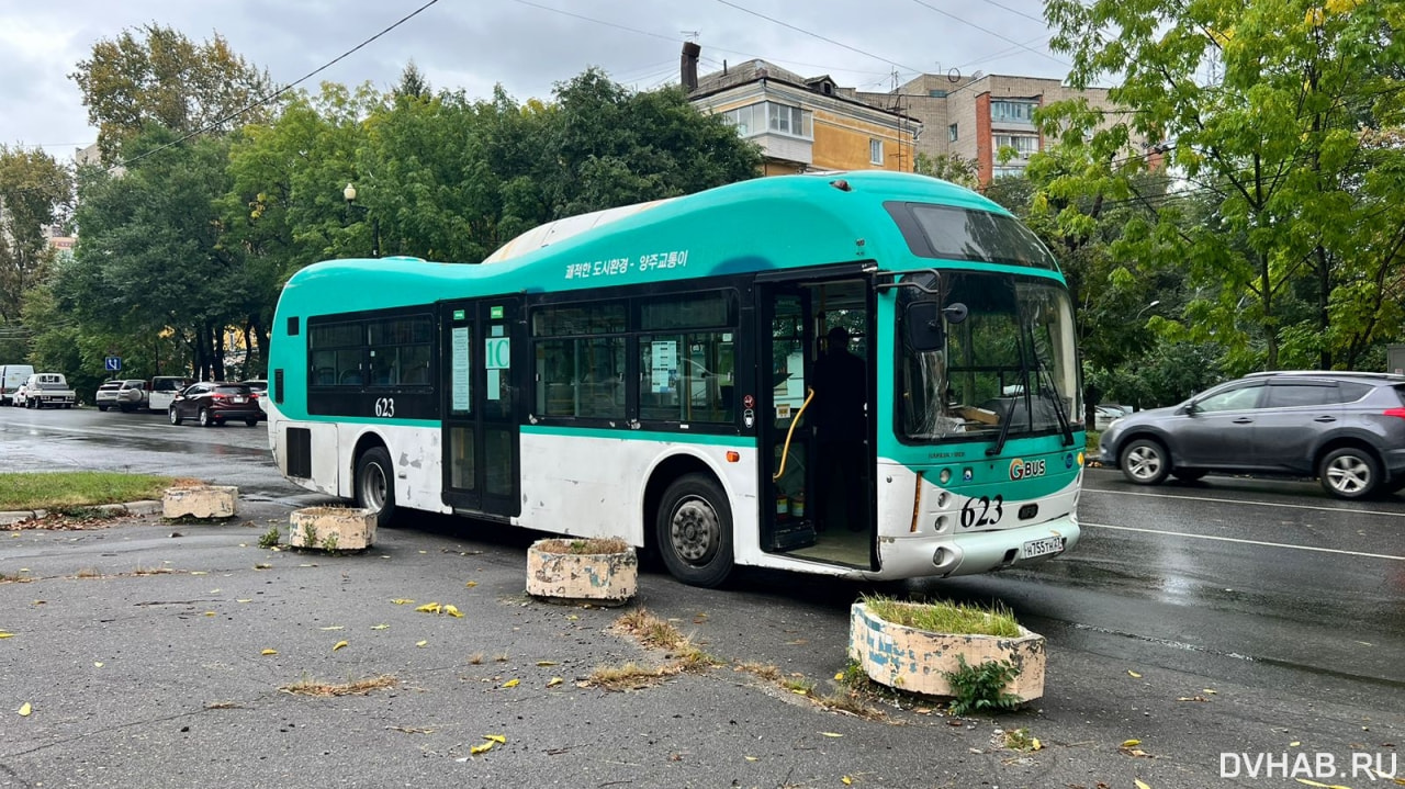 Резко потемнело: автобус сбил школьника на Серышева (ФОТО) — Новости  Хабаровска