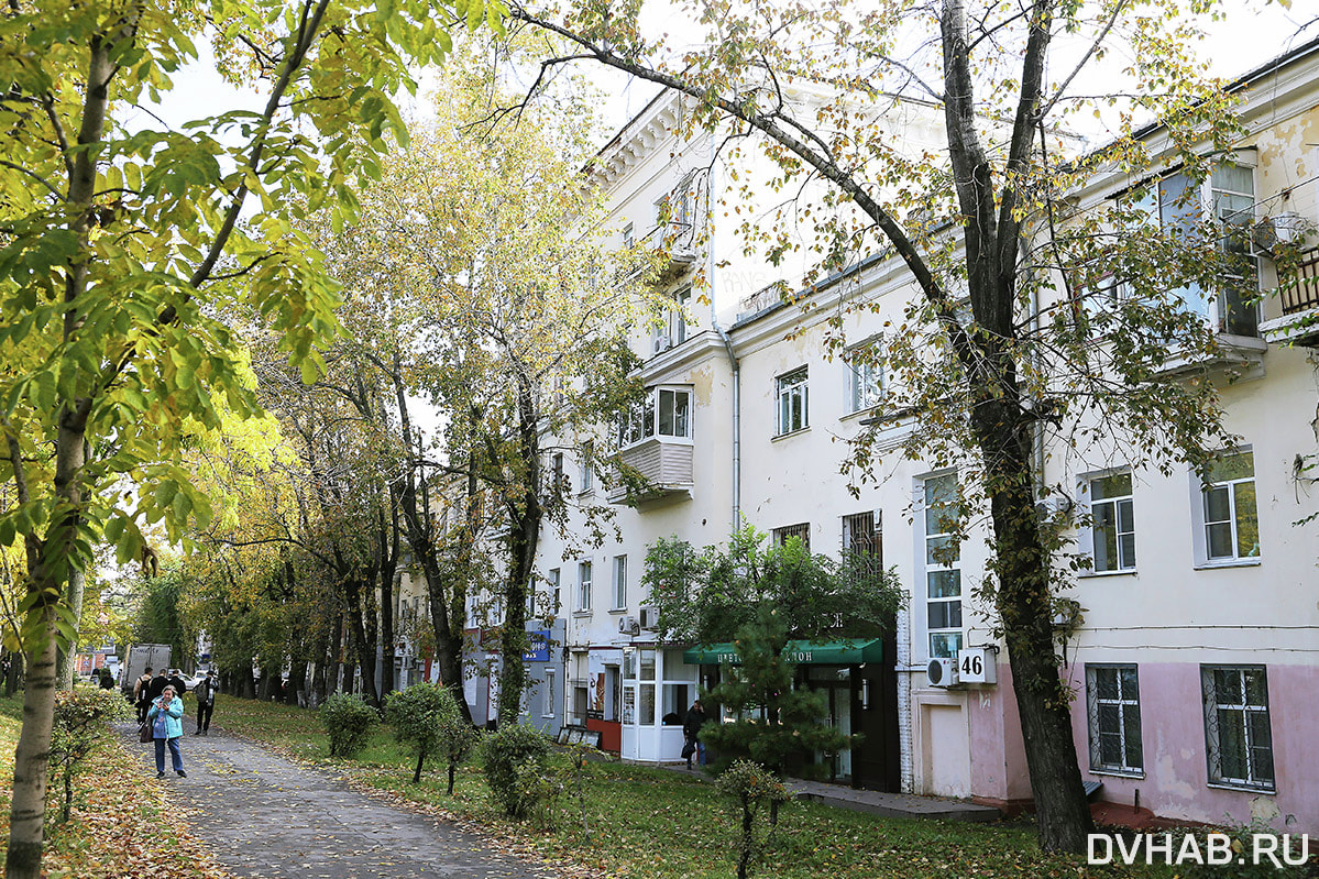 DVHAB на районе: исчезающий экс-элитный Гупровский городок (ФОТО) — Новости  Хабаровска