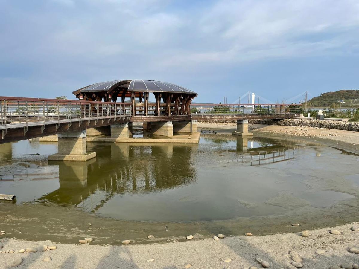 Из прудов Приморского океанариума спускают воду: карпов соберут и переселят  «на зимние квартиры» (ФОТО) – Новости Владивостока на VL.ru