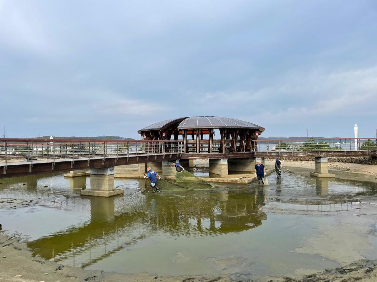 КОМНАТА ПОД ПРУДОМ С ПОДВОДНЫМИ ОКНАМИ (Пруд. Оборудование.)