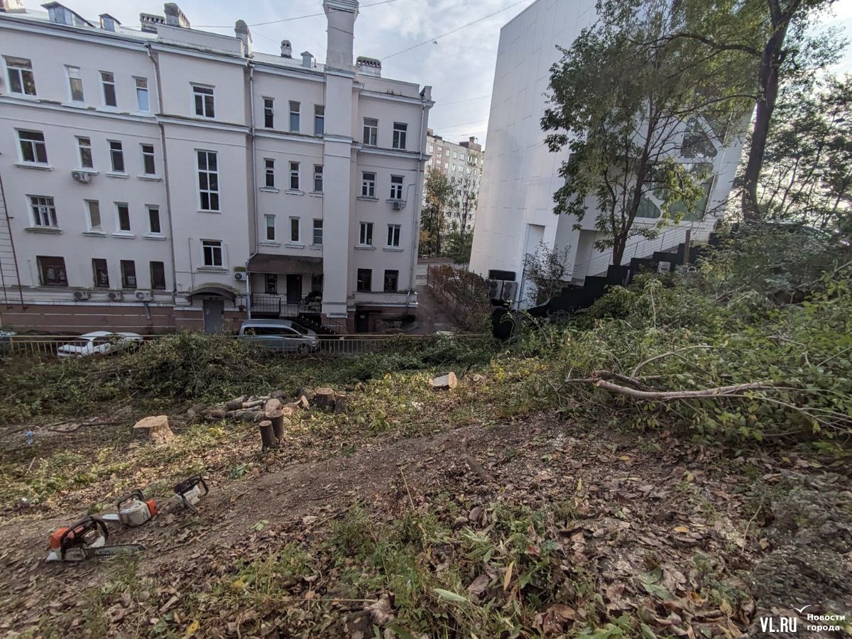 Паркинг вместо вырубленных деревьев строят во дворе исторического здания во  Владивостоке – Новости Владивостока на VL.ru