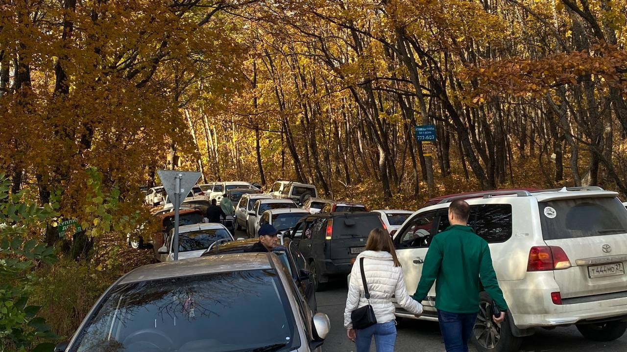 В ловушке оказываются хабаровчане на пути к зоосаду (ФОТО) — Новости  Хабаровска