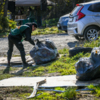 У тех, что работал в лесу, мешки наполняются мусором особенно быстро  — newsvl.ru
