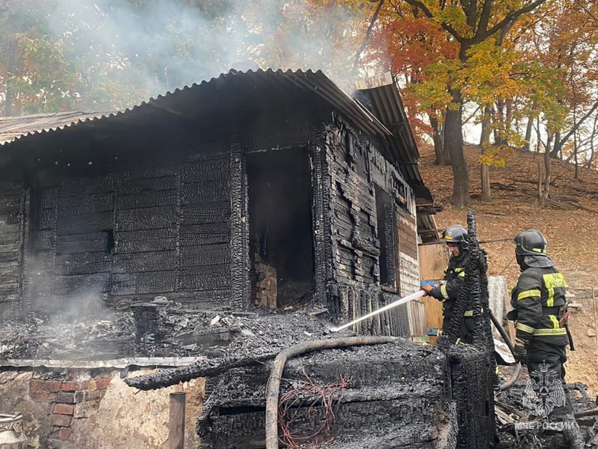 В сгоревшем деревянном доме на Седанке нашли погибшего пенсионера – Новости  Владивостока на VL.ru