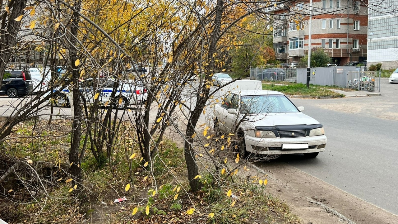 Торопилась в магазин: хабаровчанка упала под колеса Camry (ФОТО) — Новости  Хабаровска