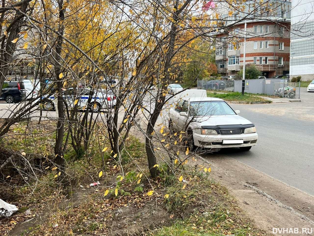 Торопилась в магазин: хабаровчанка упала под колеса Camry (ФОТО) — Новости  Хабаровска