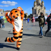 Очаровательный тигр фотографировался со всеми желающими — newsvl.ru