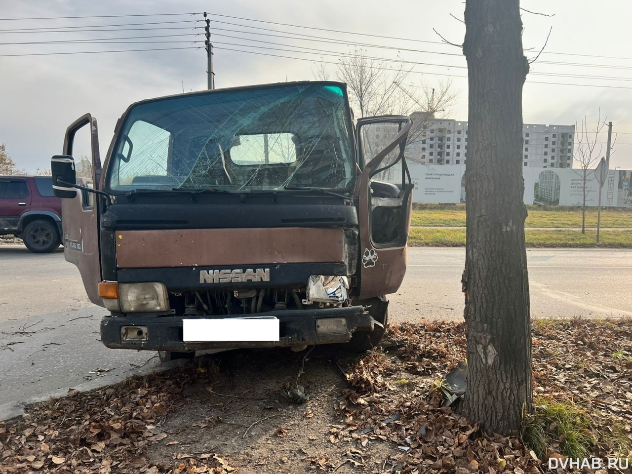 Снес Nissan Atlas невнимательный водитель на Малиновского (ФОТО) — Новости  Хабаровска