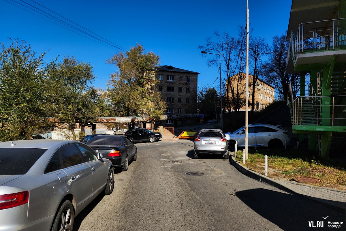 Плесень и запах краски: жильцы новостройки на Можжевеловой во Владивостоке  возмутились работающим в их доме автосалоном (ВИДЕО; ФОТО) – Новости  Владивостока на VL.ru